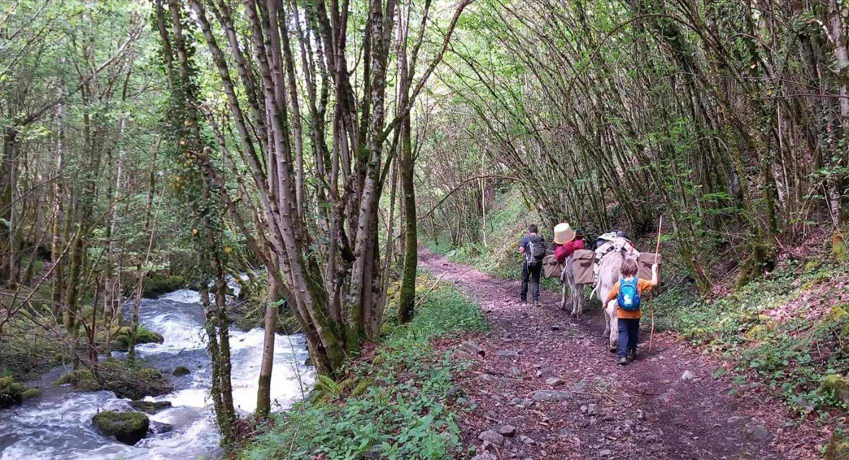 Tipi Immersion Nature Saint-Etienne-de-Chomeil France
